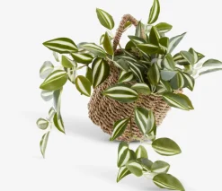 Kosz INGVER S14xDx14xW13cm do wieszania naturalny