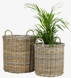 Kosz na rośliny SANSEBIE Ś50/40 kubu naturalny 2 szt/op