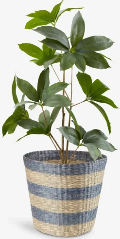 Kosz VESTER Ś35xW30cm trawa morska