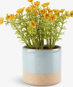 Roślina sztuczna KALLE Ś13xW16cm żółty